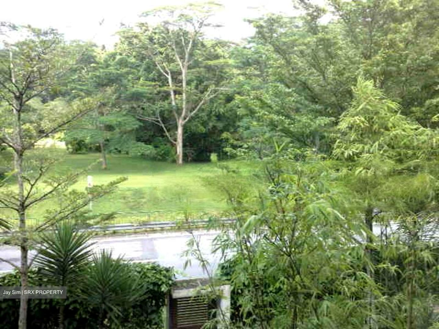 The Teneriffe (D10), Terrace #424274241